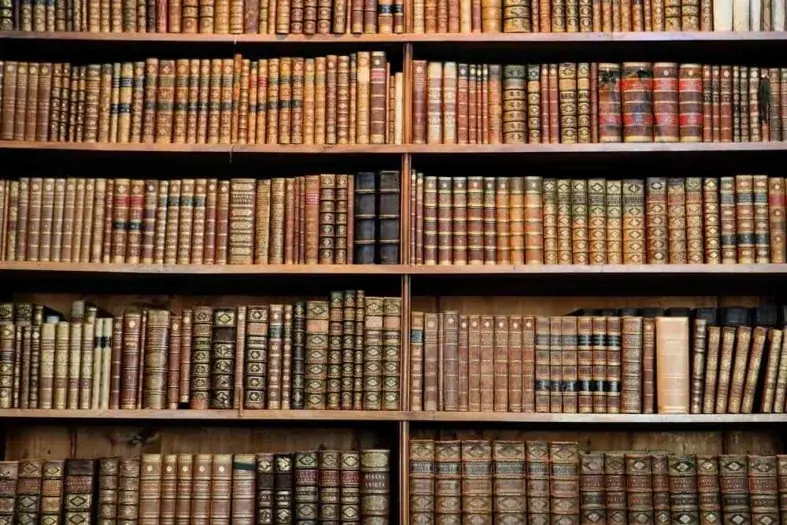 Bücherregale: welche Traglast und Stützweite Bücher wirklich verlangen