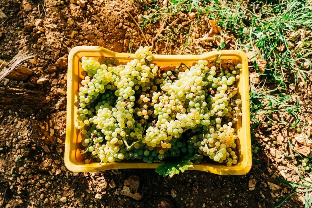 Deckenleuchte aus Weinkisten: Warum Gewicht und Wärmestau die beiden echten Fragen sind