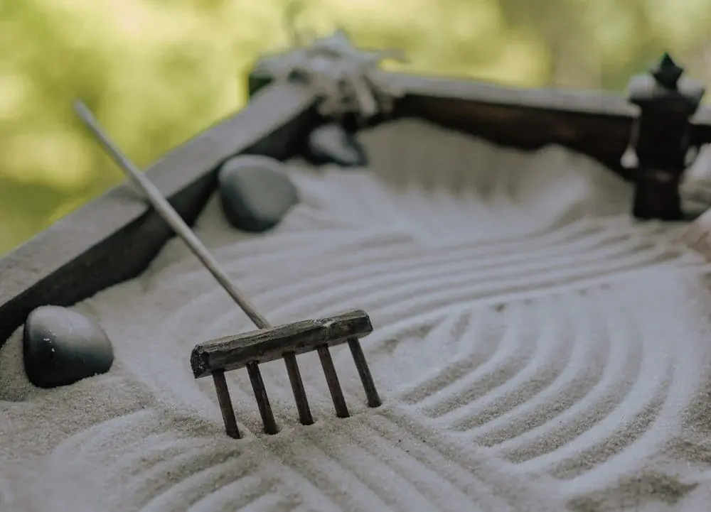 Rechen und Harken: welche Zinkenform welche Gartenarbeit erledigt
