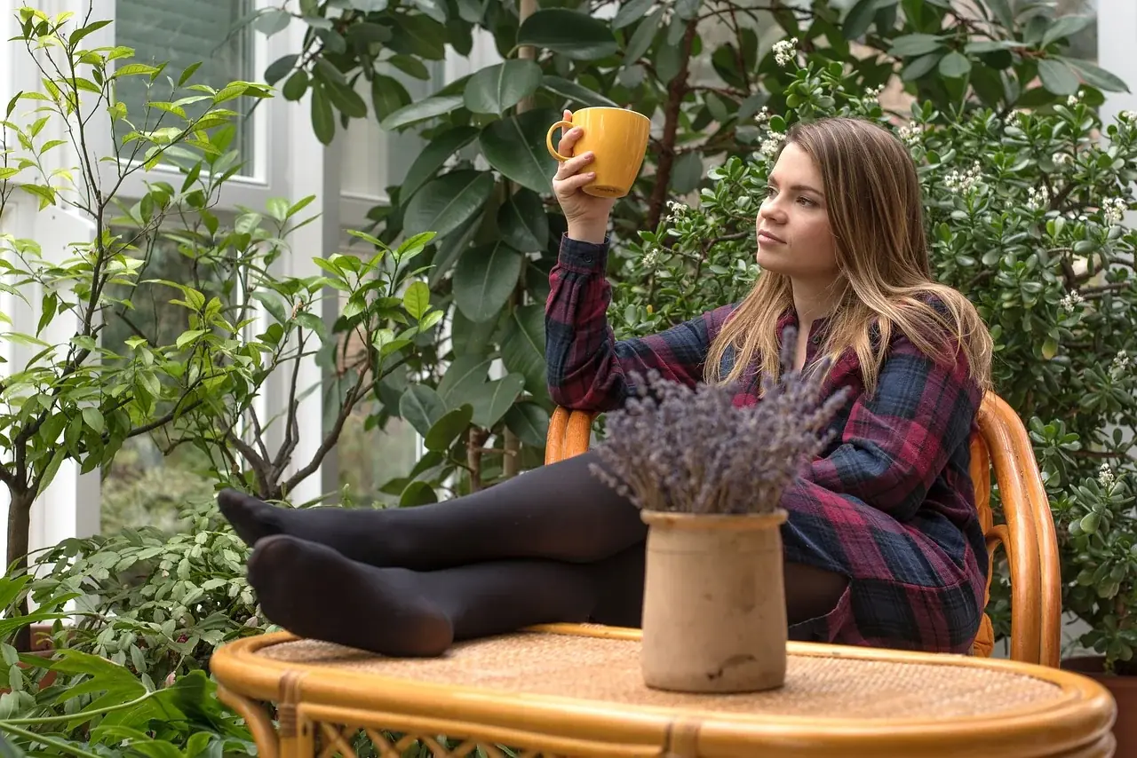 Wintergarten einrichten: welche Möbel das Klima aushalten