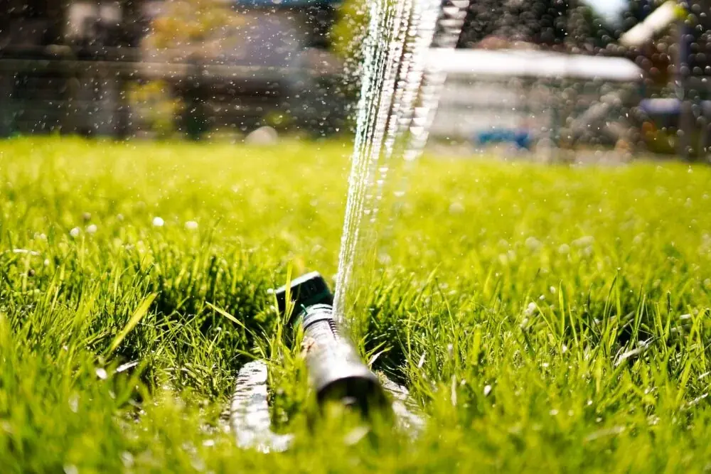 Rasensprenger läuft, Rasen bleibt fleckig: Beregnung richtig einstellen