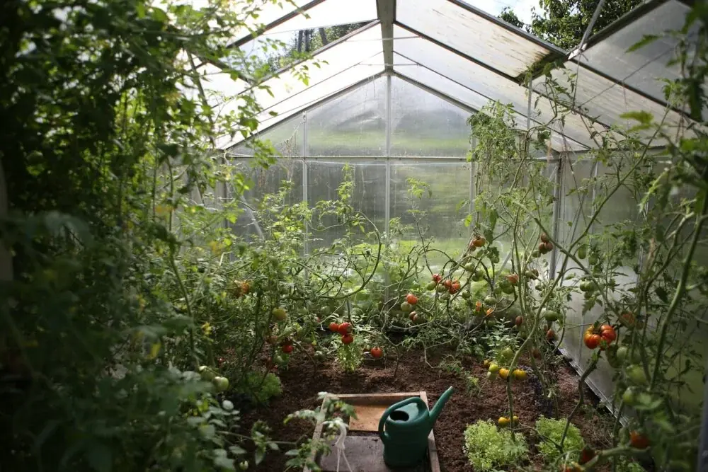 Hochbeet aufbauen: Maße, Material, Schichten und Gewicht