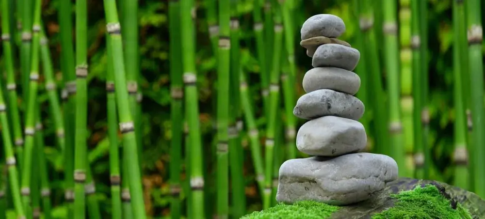 Ruhiger Sitzplatz im Garten: Größe, Sichtschutz, Wasser und Licht planen