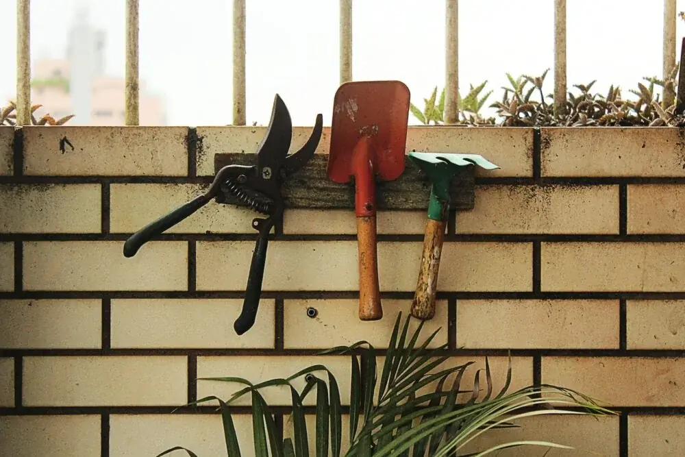 Gartenschere und Säge schärfen: Winkel, Körnung und Rost an Klingen