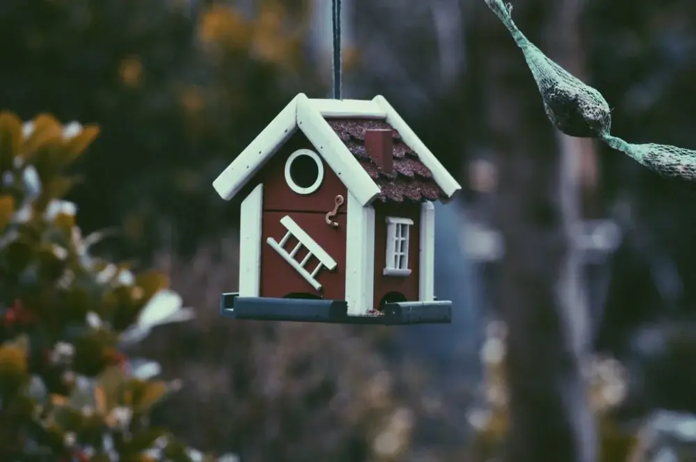 Vogelhaus als Futterstelle: Winterfütterung, Hygiene und katzensicherer Standort