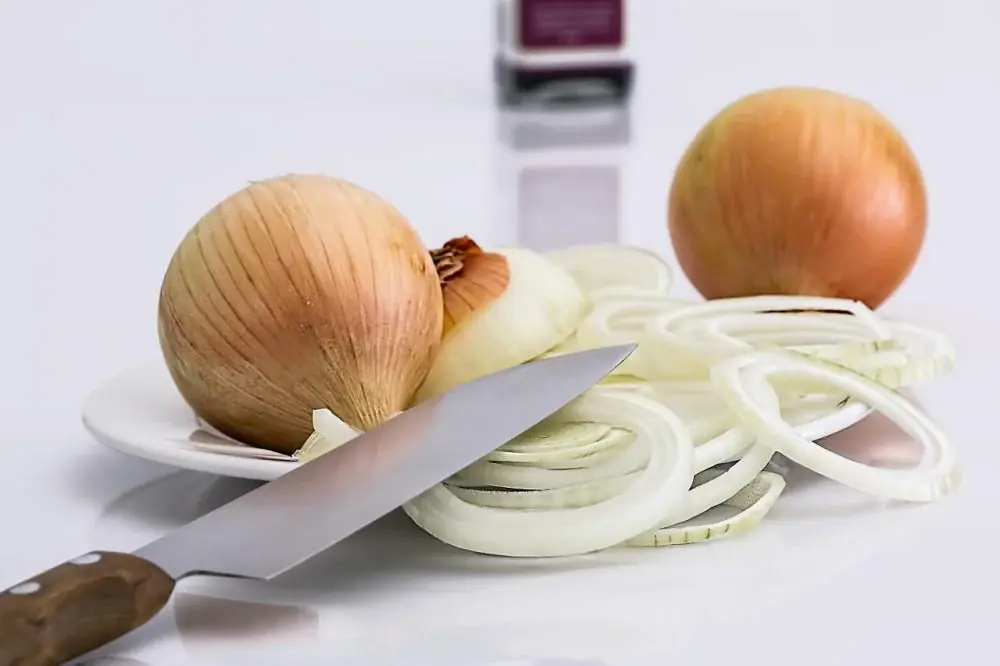 Zwiebelschneider: Was das Gerät wirklich kann und warum es Sie eher mehr zum Weinen bringt