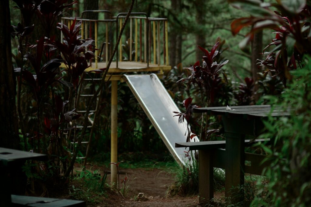 blue and brown wooden swing