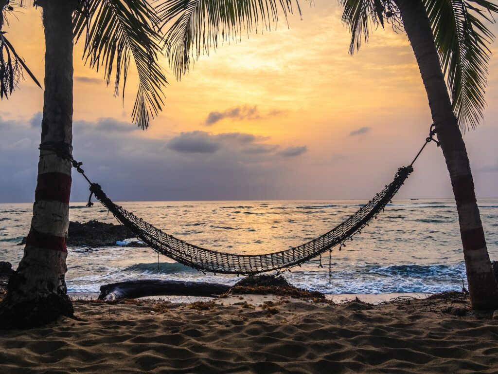 black hammock hanging between coconut tree on beach during golden hour